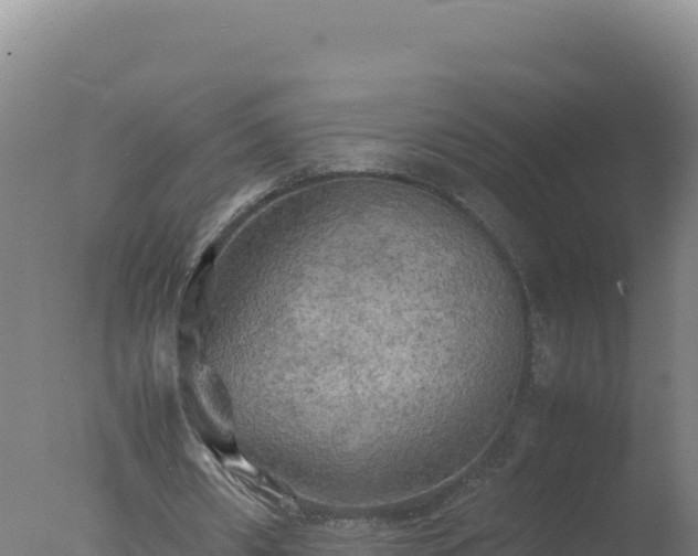 X0000077360482200610271858