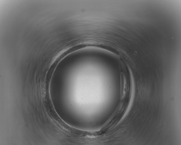 X0000077360484200610271858