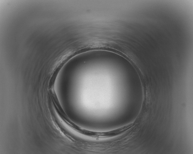 X0000077360485200610271858