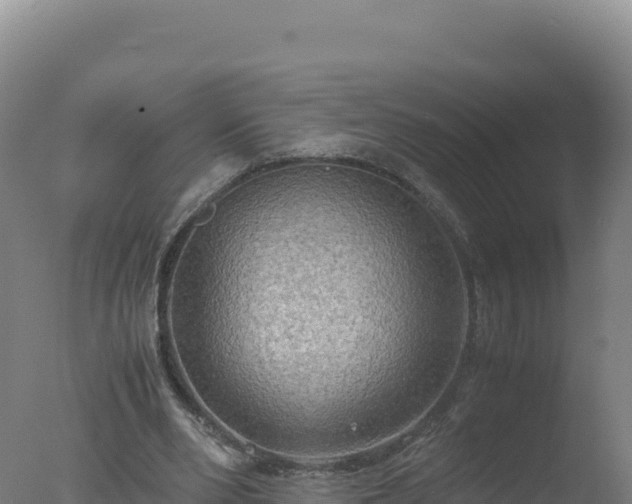 X0000077360486200610271858