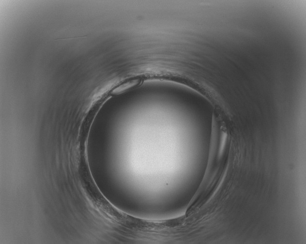 X0000077360488200610271858