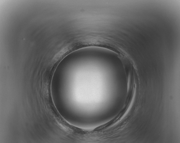 X0000077360489200610271858