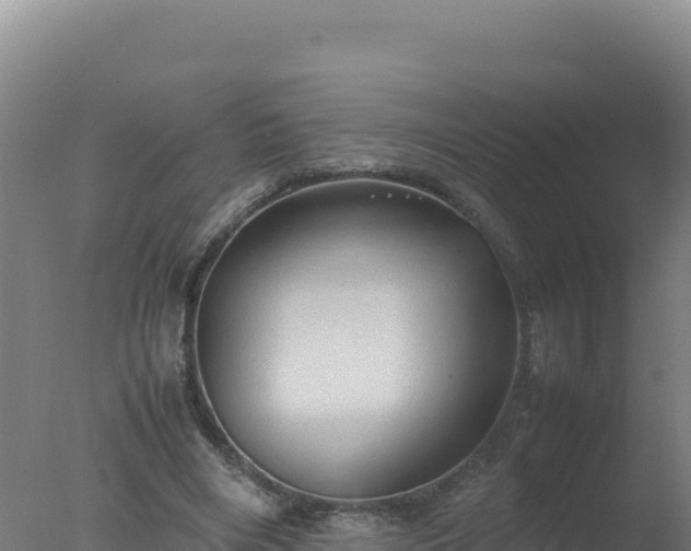 X0000077360490200610271858