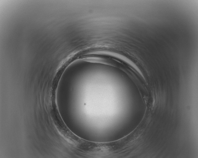 X0000077360492200610271858