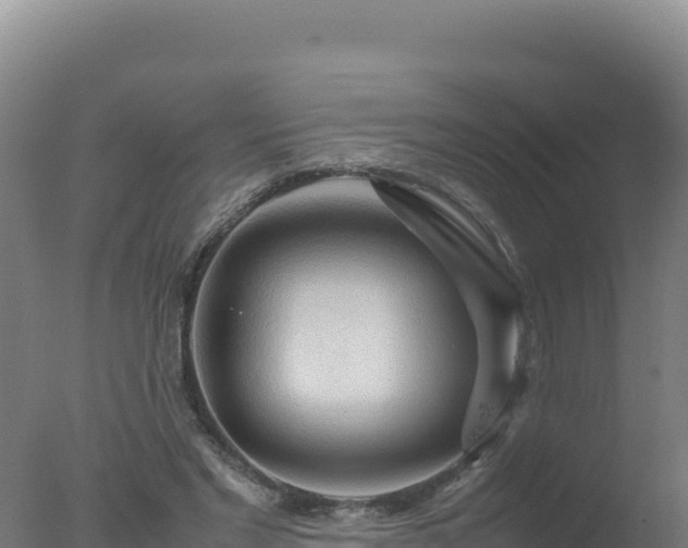 X0000077360493200610271858