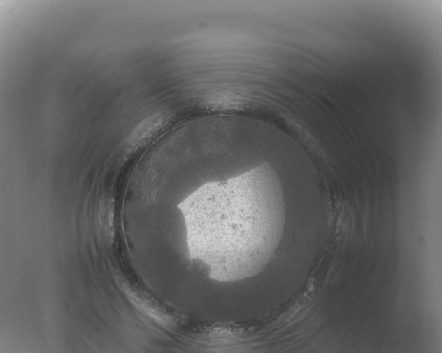 X0000077360494200610271858