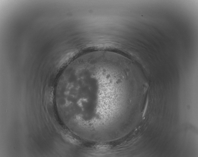 X0000077360495200610271858