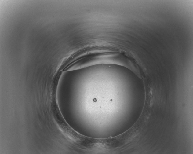 X0000077360496200610271858