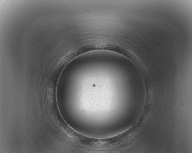 X0000077360497200610271858