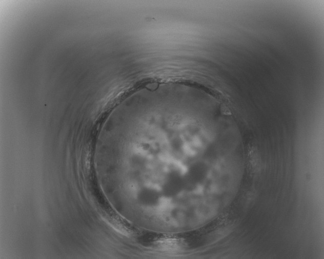 X0000077360499200610271858