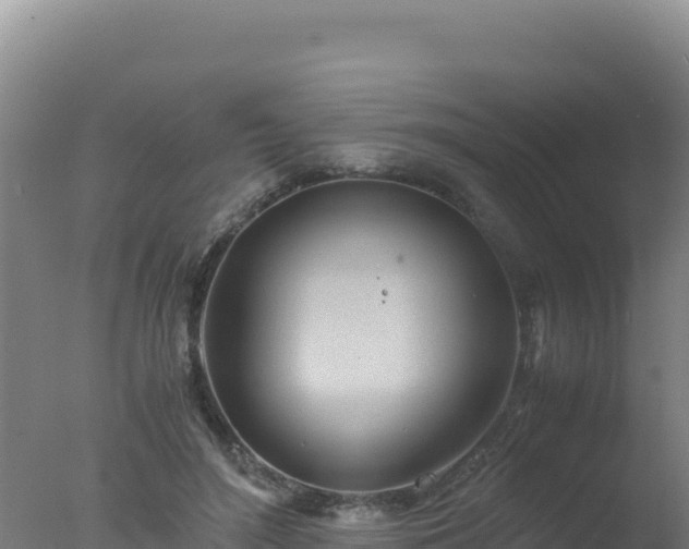 X0000077360500200610271858