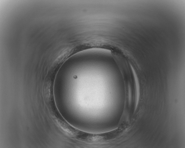 X0000077360501200610271858