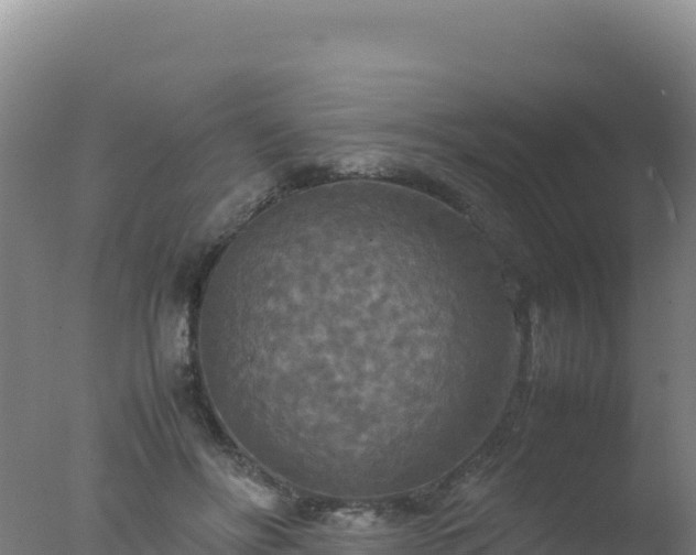 X0000077360502200610271858