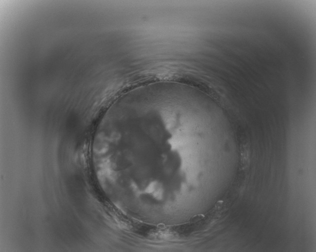 X0000077360503200610271858