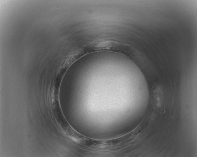 X0000077360504200610271858