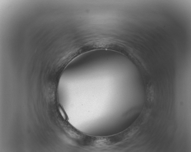 X0000077360505200610271858