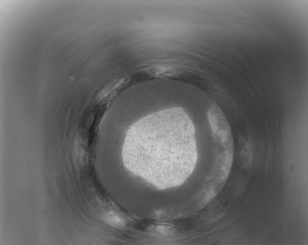 X0000077360506200610271858