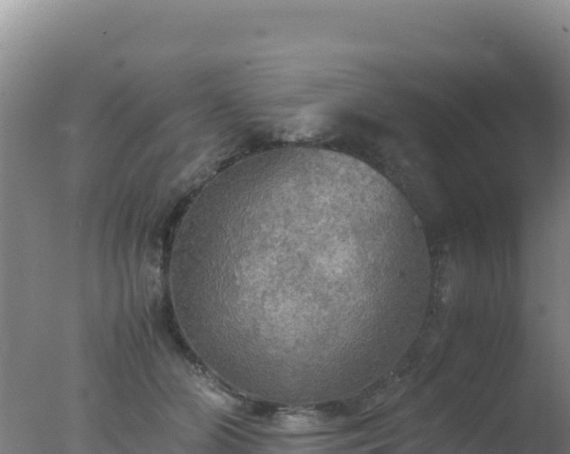 X0000077360510200610271857