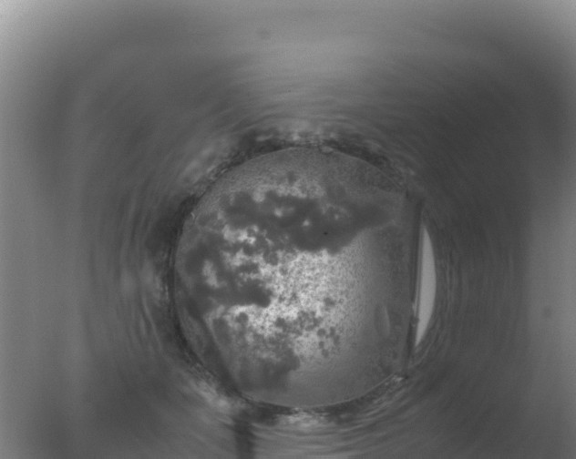 X0000077360511200610271857