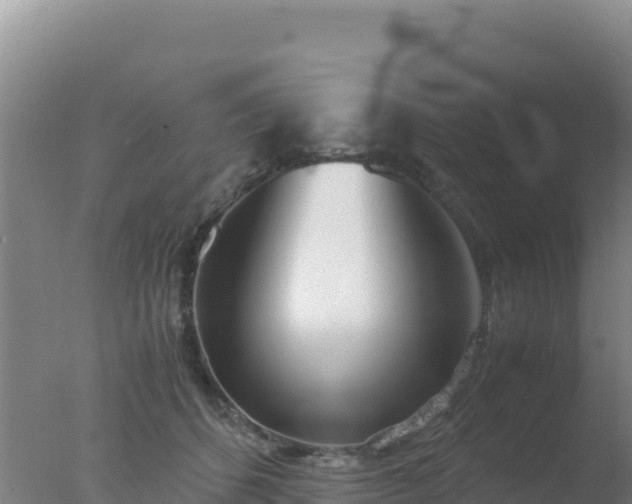 X0000077360512200610271857