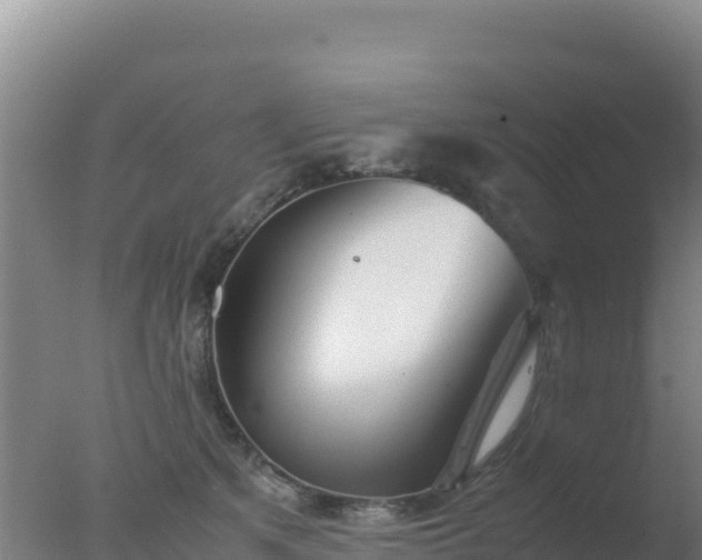 X0000077360513200610271857