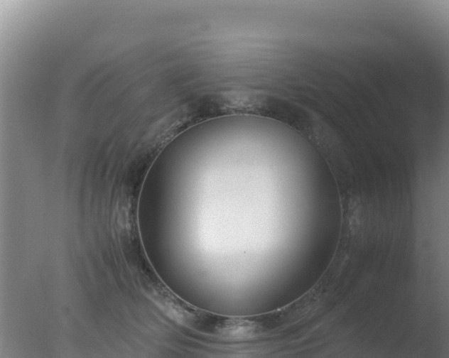 X0000077360514200610271857