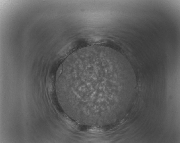 X0000077360515200610271857