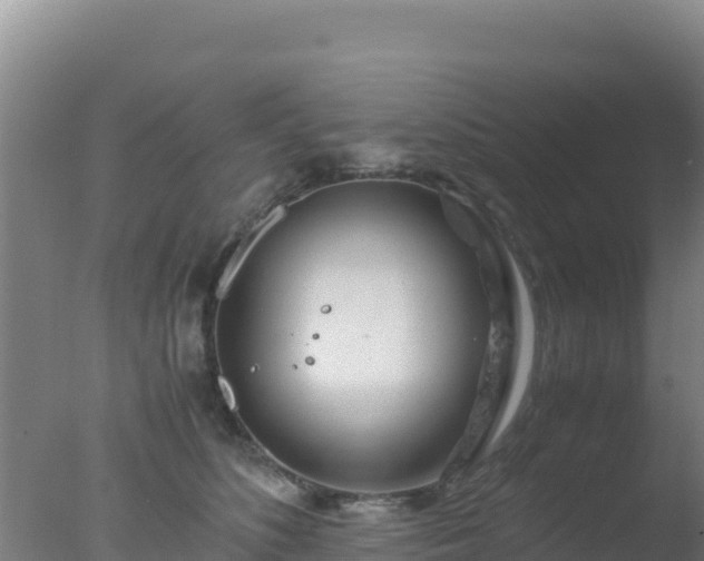 X0000077360516200610271857