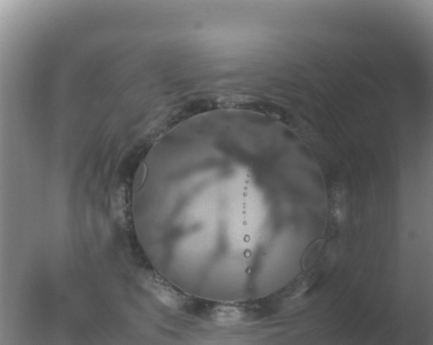 X0000077360519200610271857