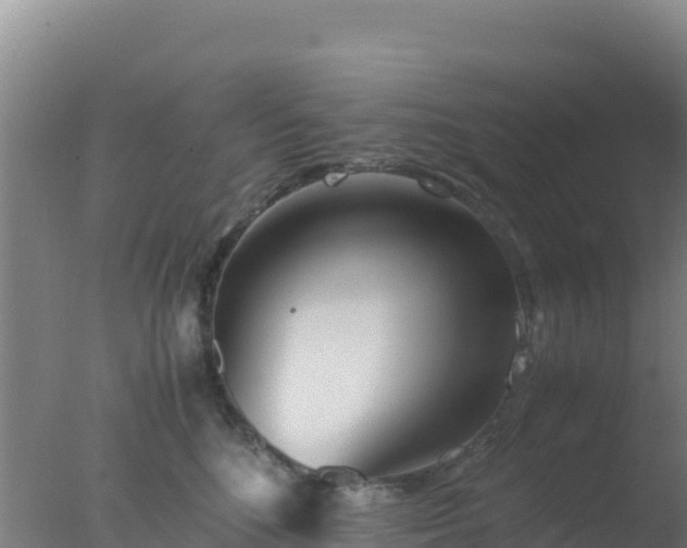 X0000077360520200610271857