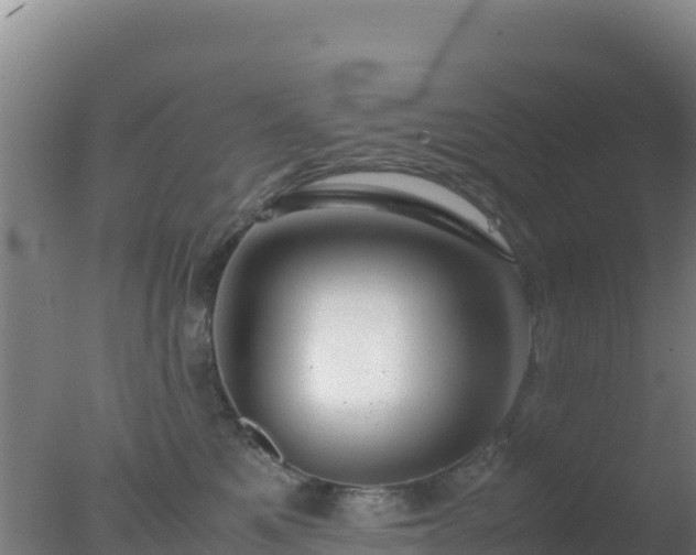 X0000077360521200610271857