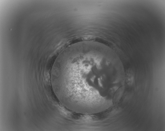 X0000077360523200610271857