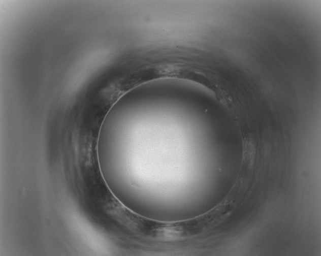 X0000077360525200610271857