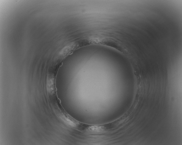 X0000077360526200610271857