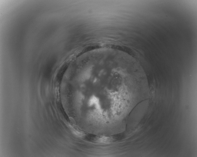 X0000077360527200610271857