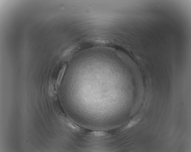 X0000077360528200610271857