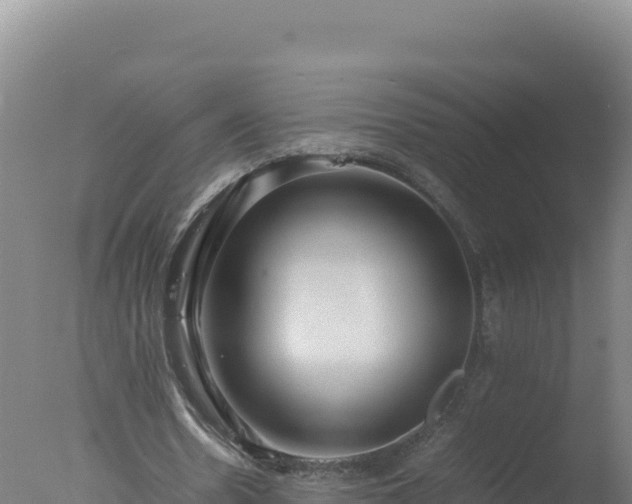 X0000077360530200610271856