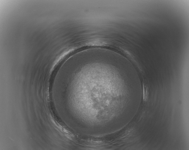 X0000077360531200610271856