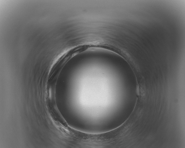 X0000077360532200610271856