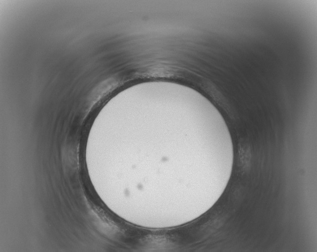 X0000077360534200610271856