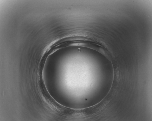 X0000077360536200610271856