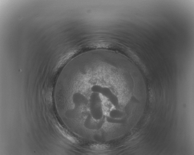 X0000077360537200610271856