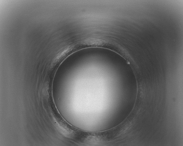 X0000077360538200610271856