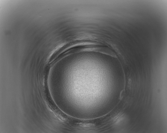 X0000077360539200610271857