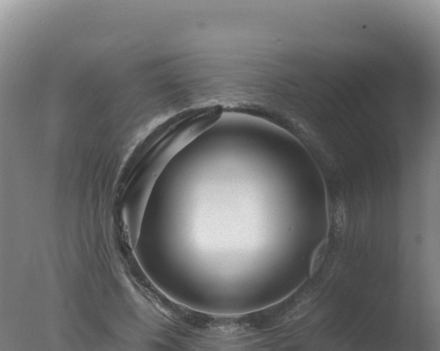 X0000077360540200610271857