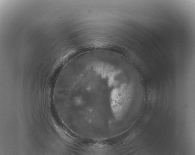 X0000077360542200610271857