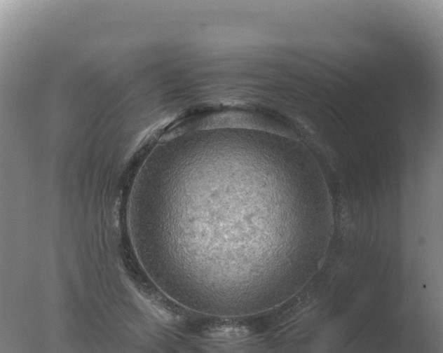 X0000077360543200610271857