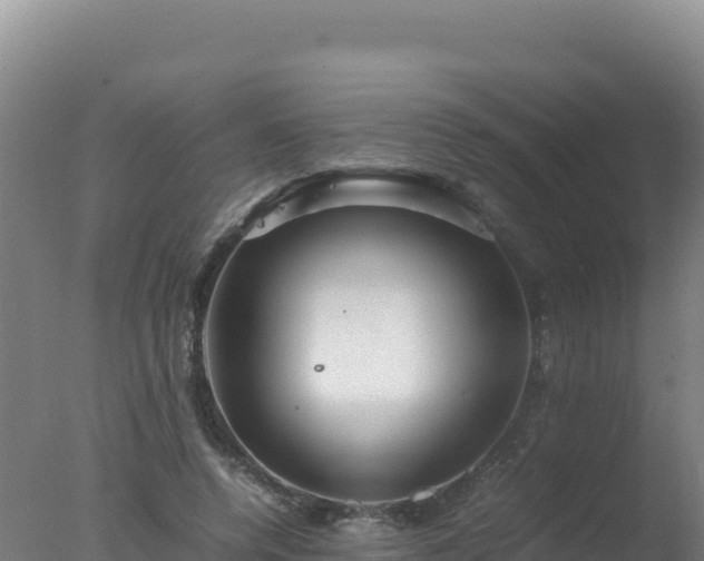 X0000077360544200610271857