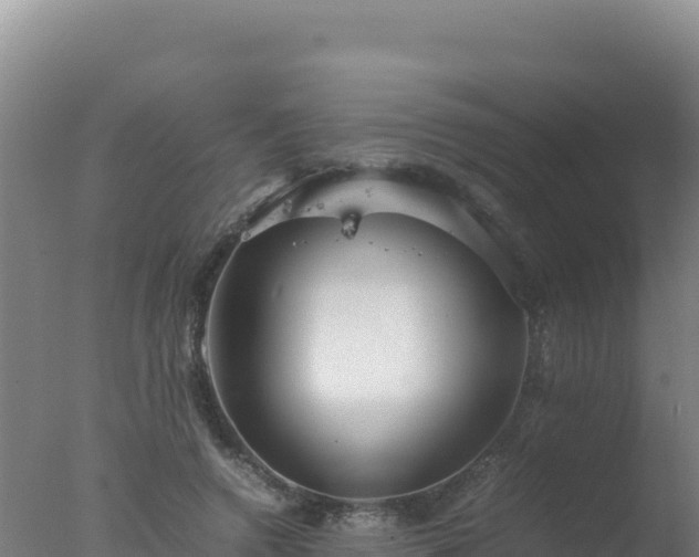 X0000077360546200610271857