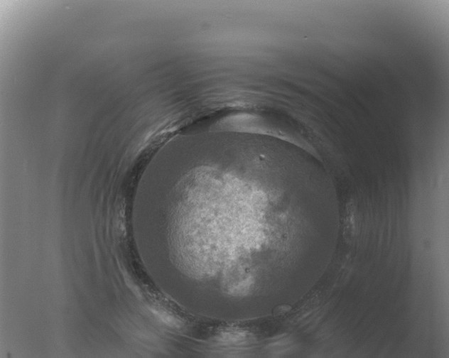 X0000077360547200610271857